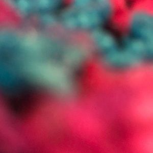 Meet your Posher, Heaven